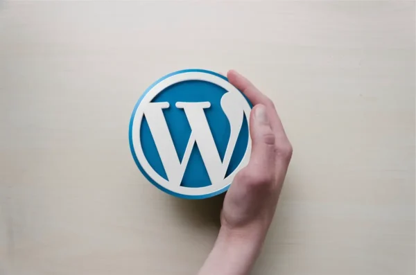 Iconewordpress