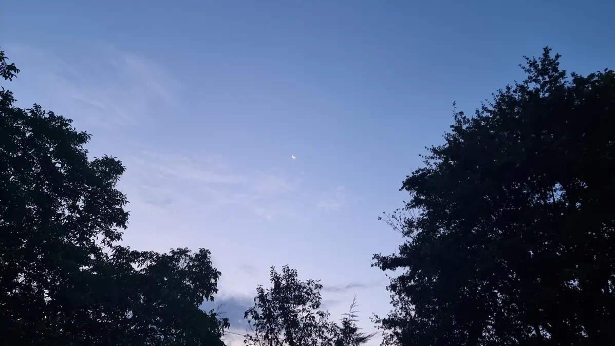 le jardin sous la lune le 9 août 26