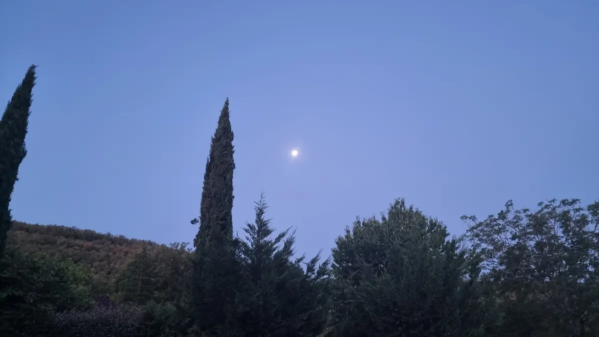 Lune sur le jardin