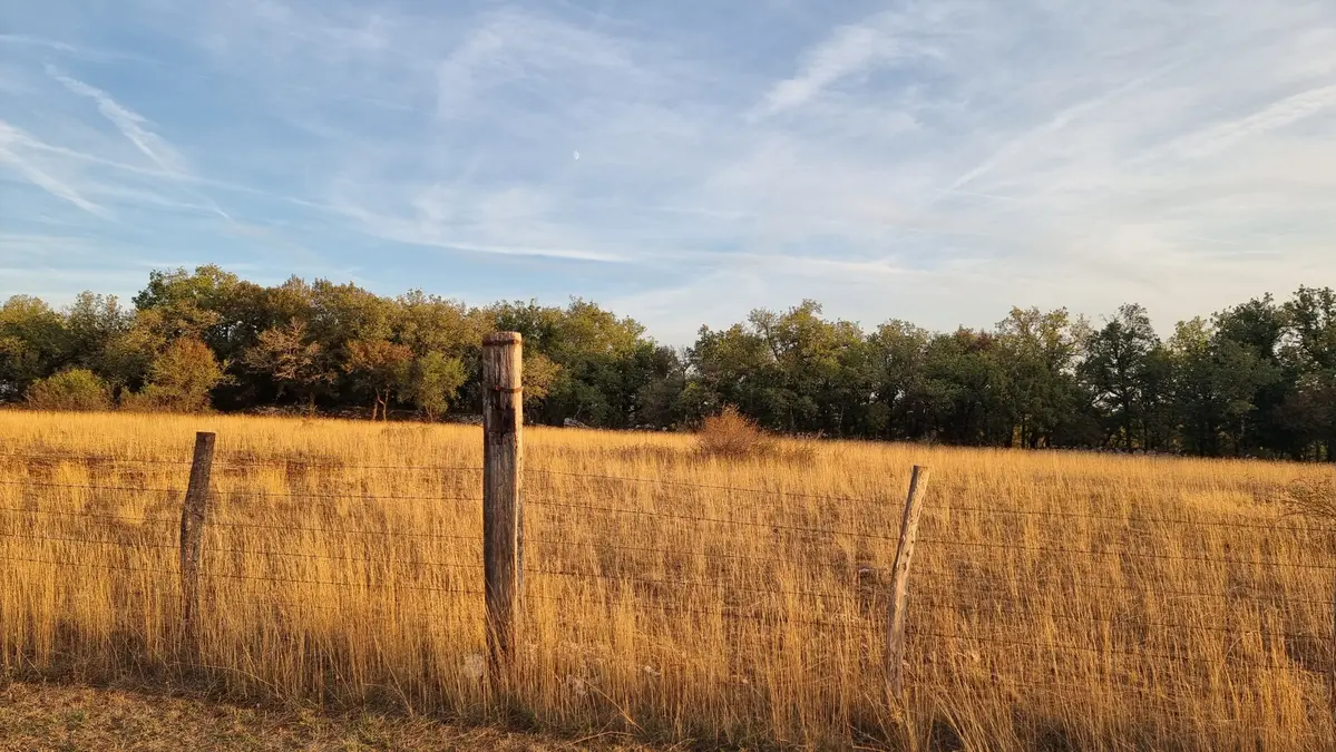 un pré au soleil couchant avec son herbe sèche et une cloture au premier plan