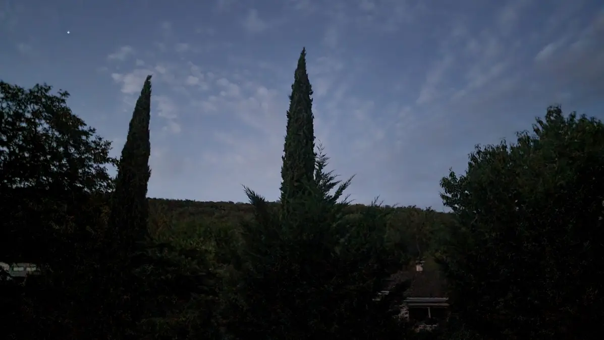 une vue sur le jardin à l'aurore, on devine des grands cyprès