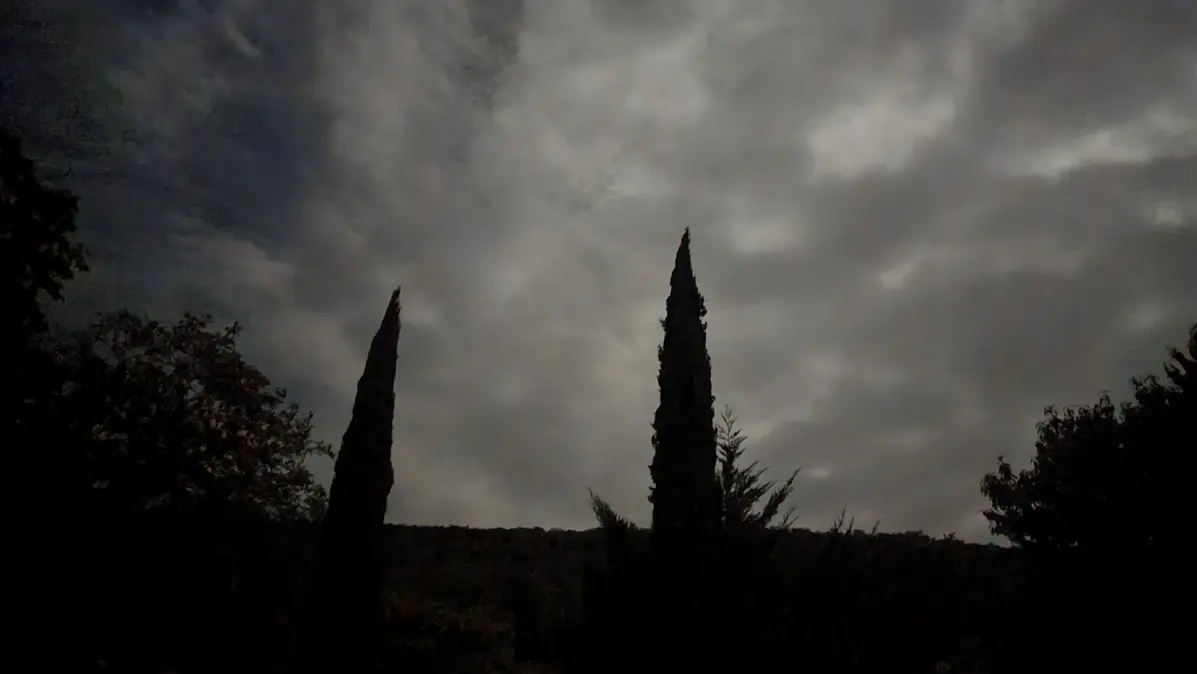 ciel couvert au dessus des cyprès
