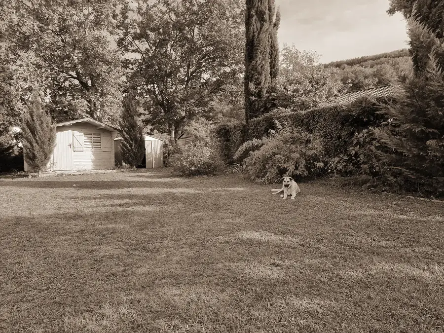 Galou au jardin le 16 septembre 2023