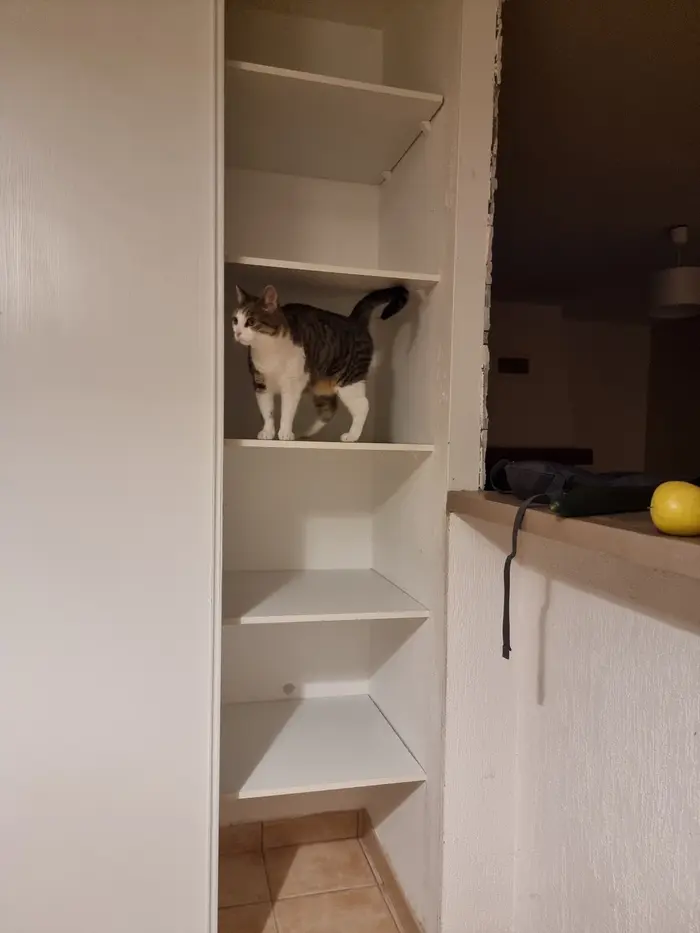 Inspection