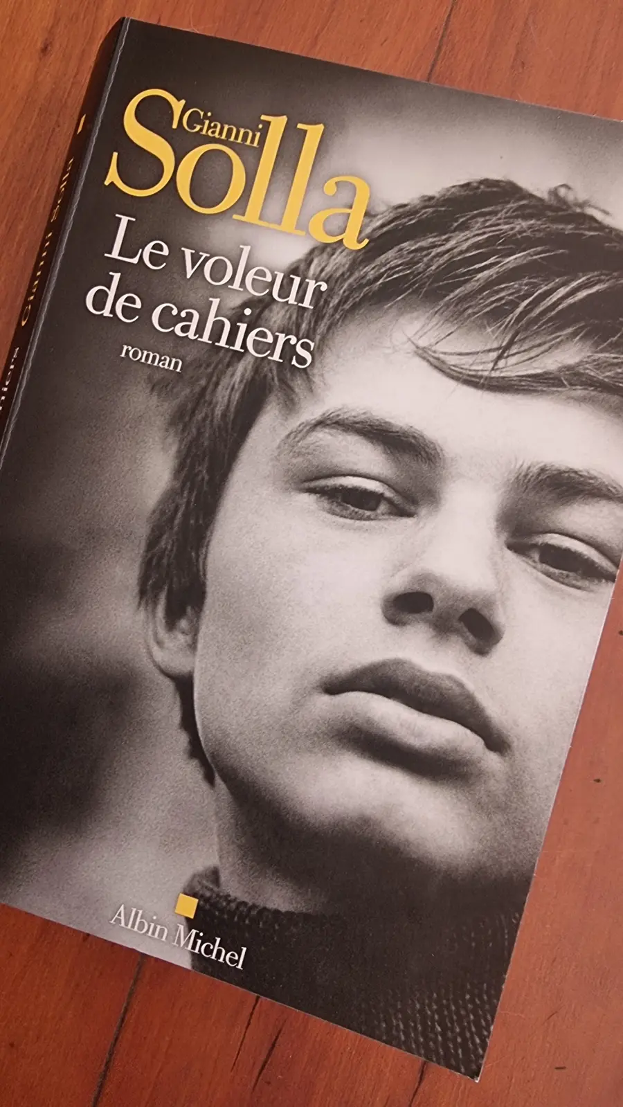 la couverture du roman Le voleur de Cahiers de Gianni Solla chez Albin Michel