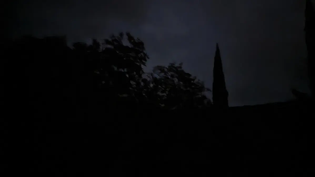 on devine les silhouettes des arbres dans l'ombre de la nuit au matin