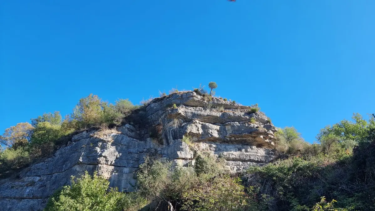 un petit arbre sur la falaise semble se pencher au dessus du vide